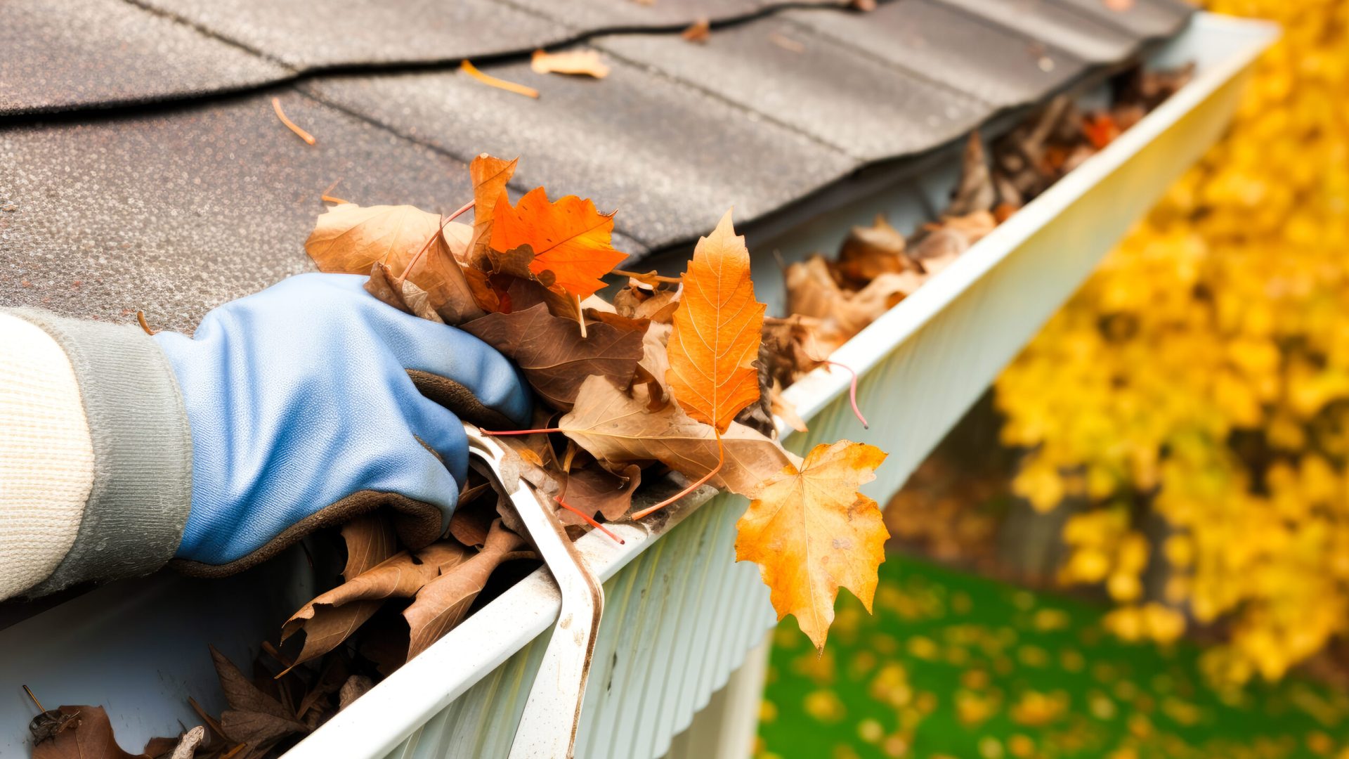 fall maintenance
